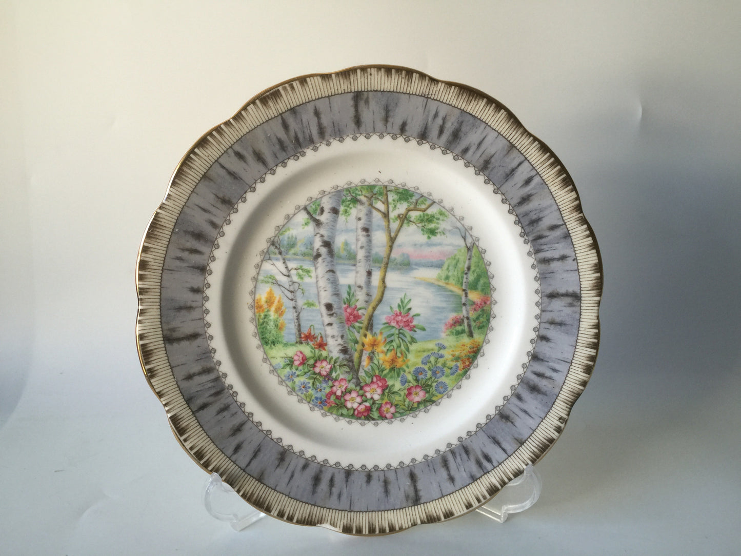 Porcelain - Royal Albert Silver Birch Cup Saucer Plates 4 pcs