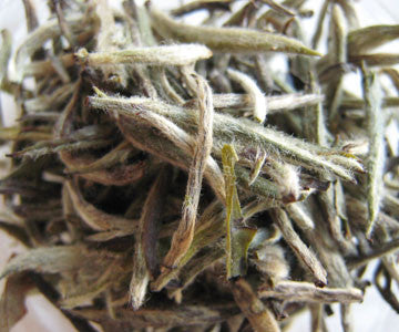 White Tea - Organic Silver Needle