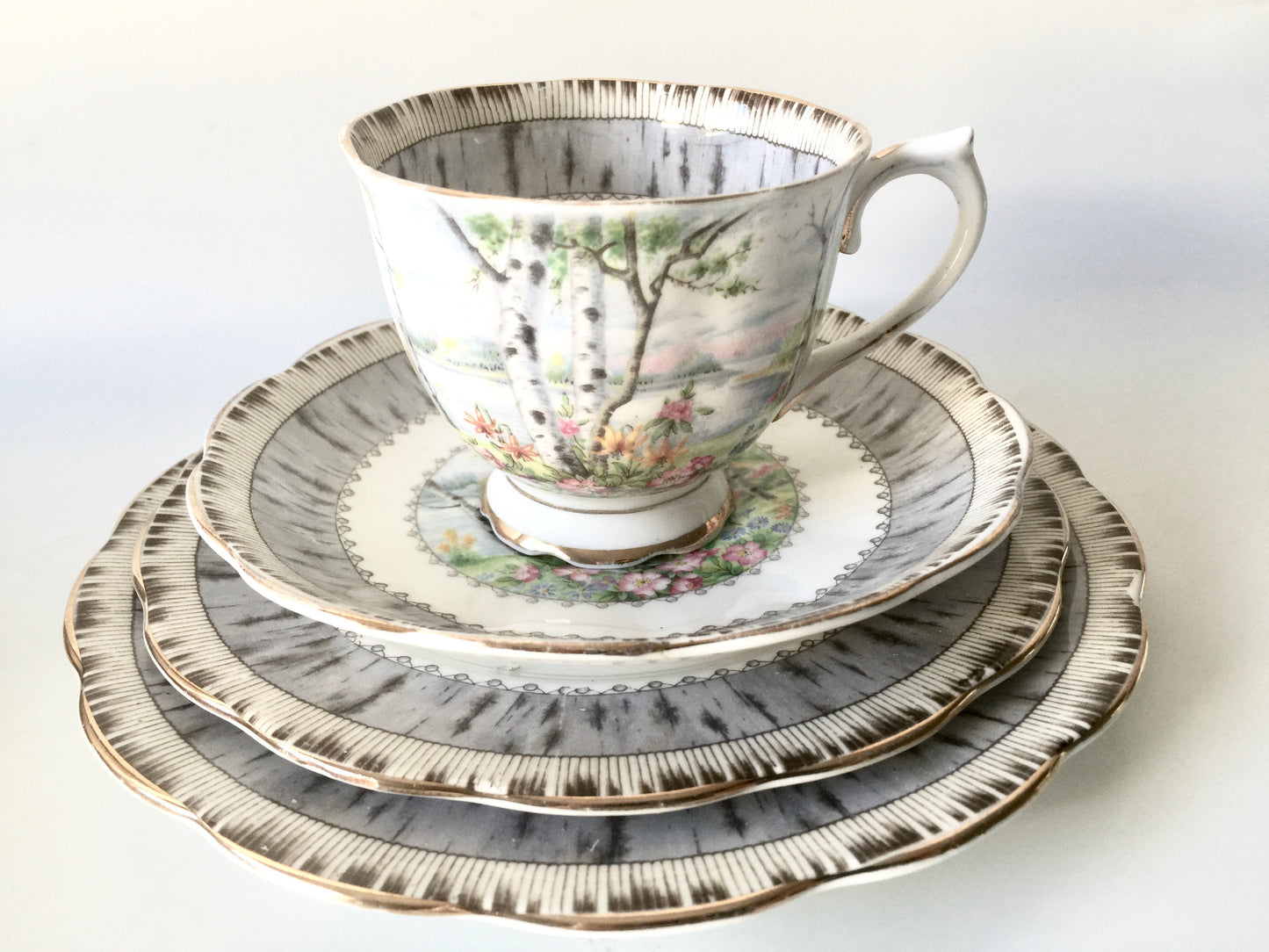 Porcelain - Royal Albert Silver Birch Cup Saucer Plates 4 pcs